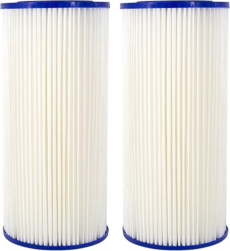 CFS Paquete de 2 cartuchos de filtro de agua resistentes compatibles con modelos R50-BBSA - Elimina el mal sabor y el olor - Cartucho de filtro de