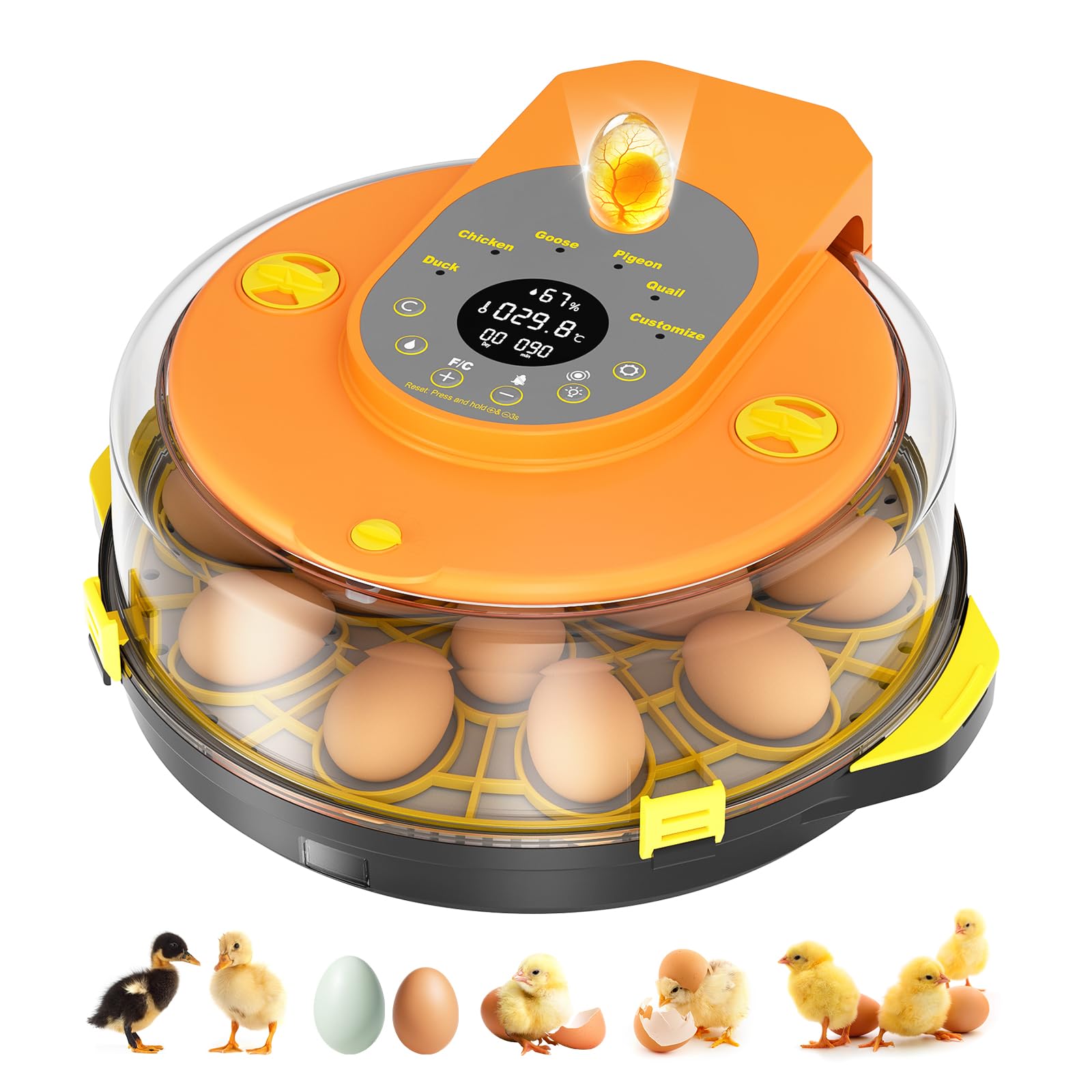 Incubadora Huevos Gallina, Incubadora Automatica para 15 Huevos Volteo Automático de Huevos, Control de Temperatura y Humedad, Adecuado para la Incubación de Huevos de Gallina, Pato, Ganso