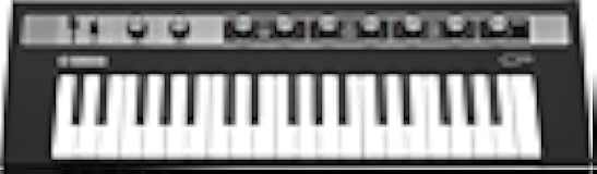 REFACE CP Portable Electric Piano and Vintage Keyboard Sound Engine