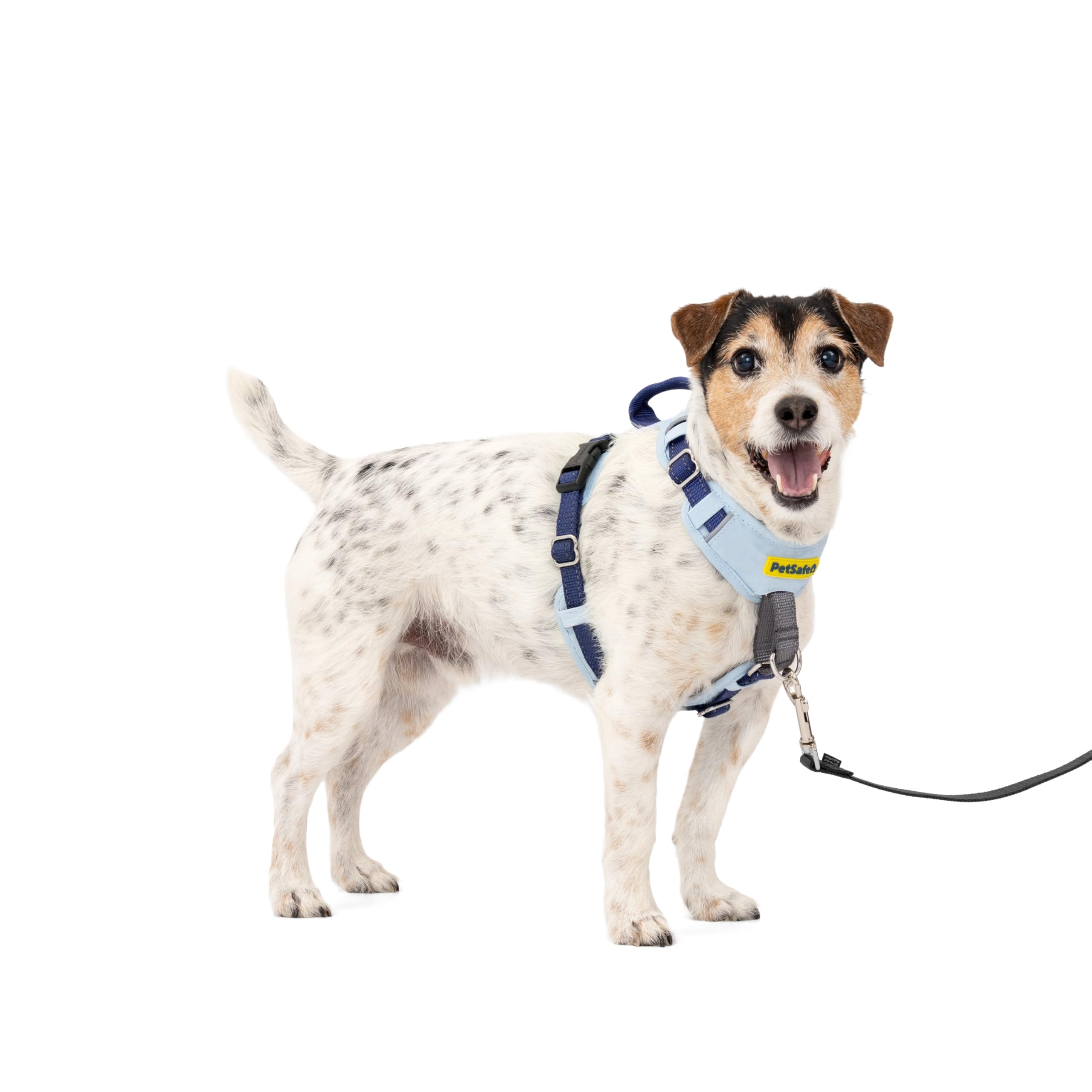 PetSafe Easy Walk Comfort Harnais Anti-Traction pour Chien - Rembourrage Complet du Corps - Meilleure Marche Lors de la première Utilisation - 5 Points d'ajustement, S/M, Bleu