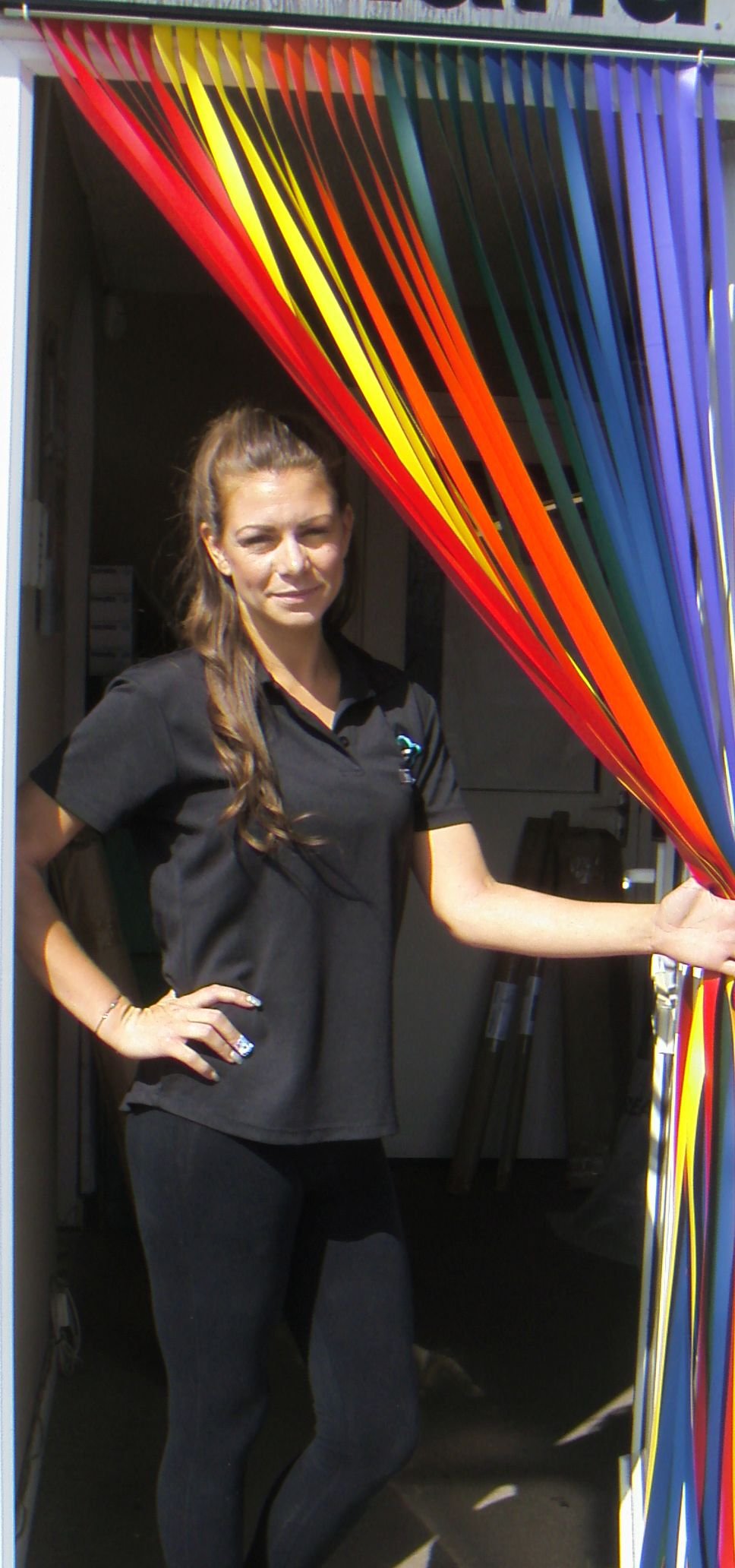 Holland Plastics Original Brand Heavy Duty Bug Fly Strip Door Blind 90Cm Wide- Rainbow