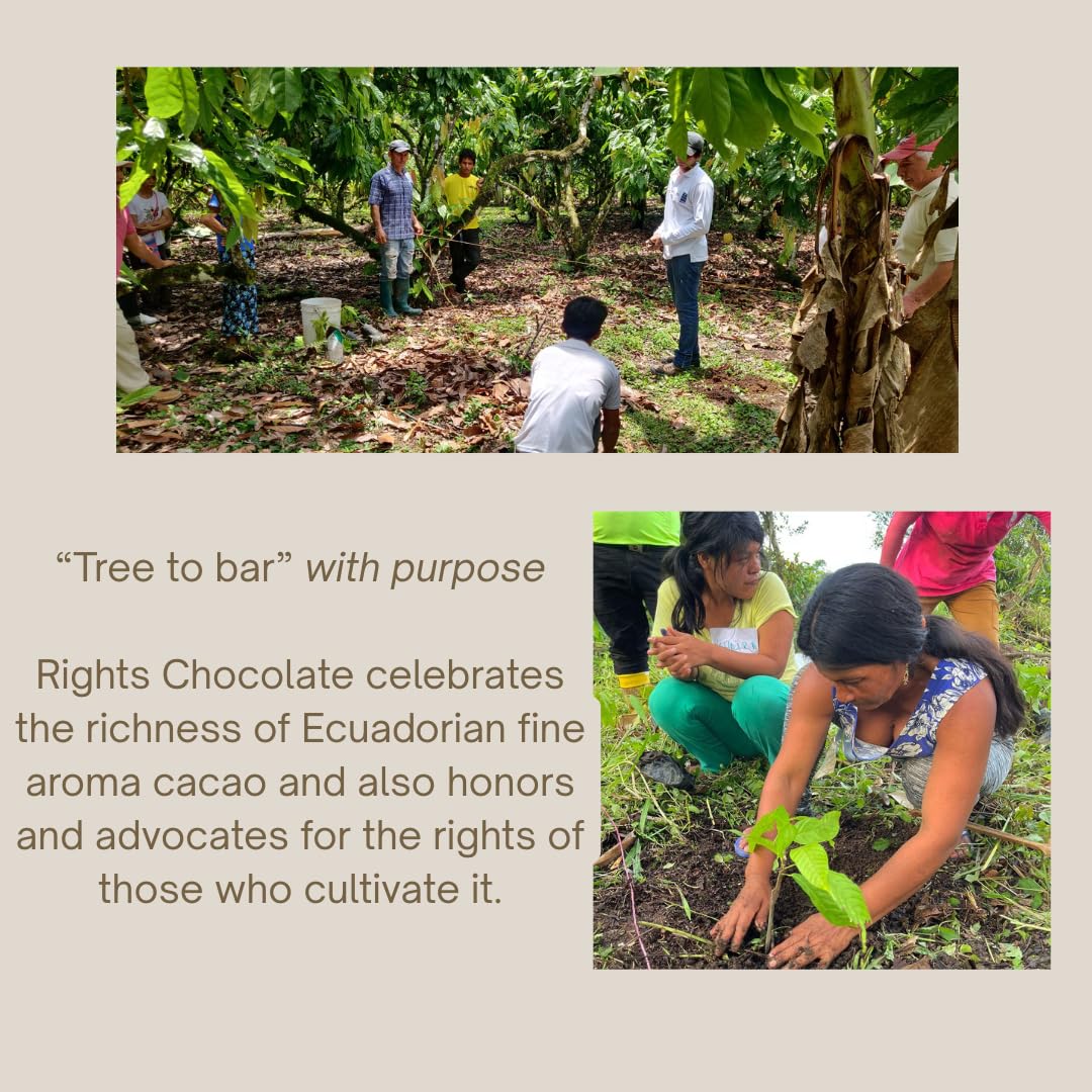 “Ecuadorian Dark Chocolate Variety Pack – Gourmet & Sugar-Free Mini Bars (10 x 20g) – Fine Aroma Cacao”