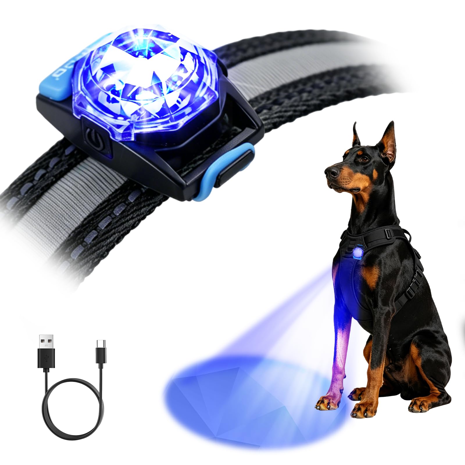 LaRoo 13g Ultra-Light USB Rechargeable LED Dog Light in Blue
