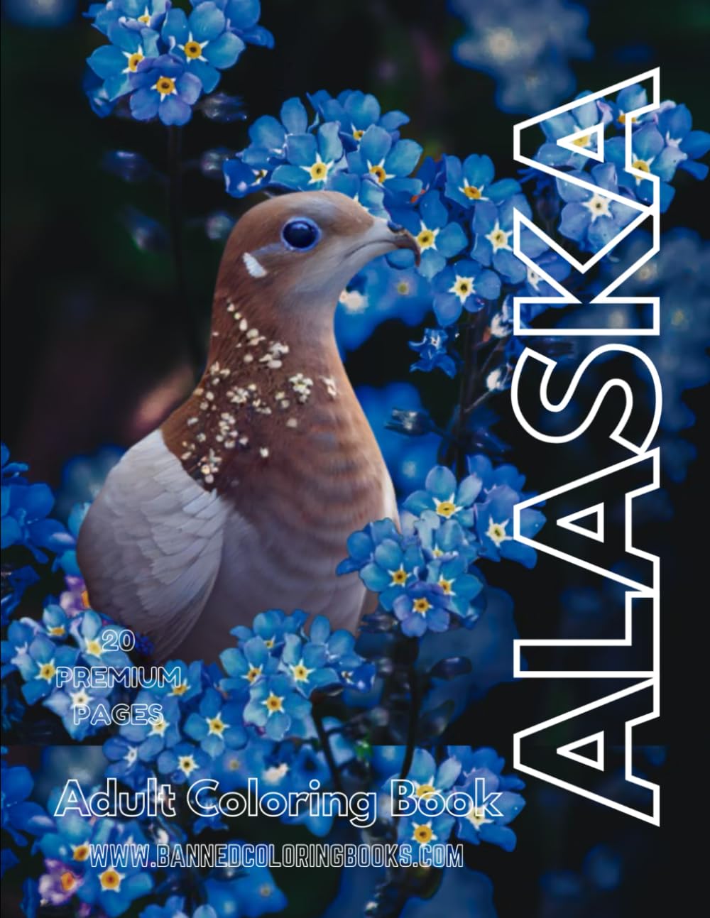 Alaska Adult Coloring Book: 20 detailed designs of Alaska with lakes, mountains, boats, animals, and more for nature lovers to relieve stress and improve relaxation (The 50 States)
