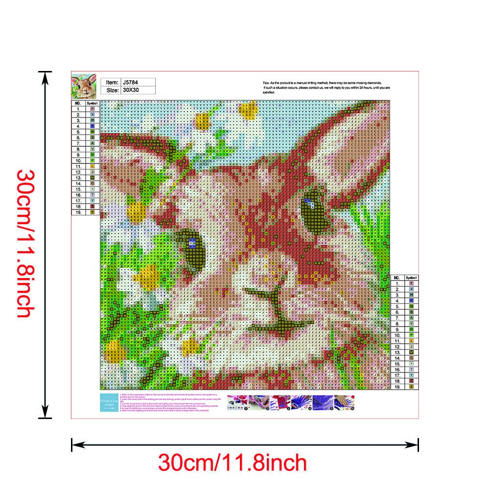DIY 5D Peinture Diamant Kit Complet Adulte/Enfant Petit Lapin 30x40cm Diamond Painting Cristal Strass Toile Broderie Point De Croix Diamant Art Peinture Pour Maison Salon Chambre Décoration (12x16in