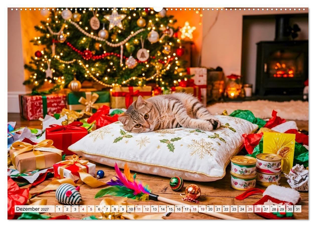 Alles für die Katze - Herrschaft Deluxe mit Charme und Wellness (Wandkalender 2027 DIN A2 quer), CALVENDO Monatskalender: Sanfte Pfoten genießen ein Jahr voller Wohlfühlmomente.
