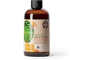Monstera Plant Food: Nourish Your Verdant Paradise