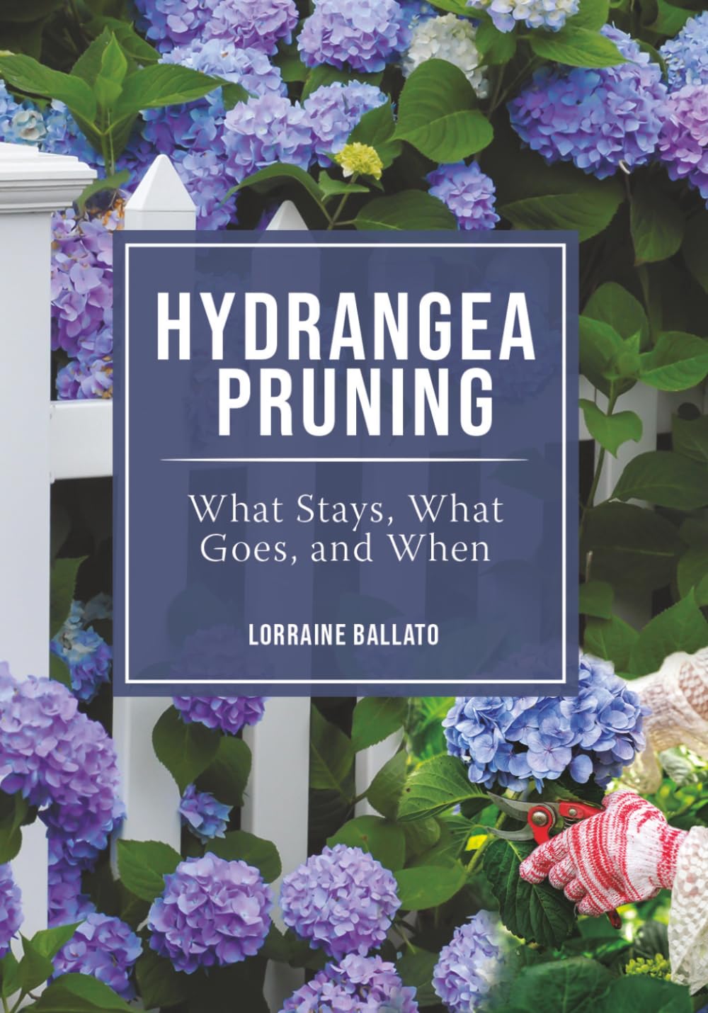 HYDRANGEA PRUNING: WHAT STAYS, WHAT GOES, AND WHEN