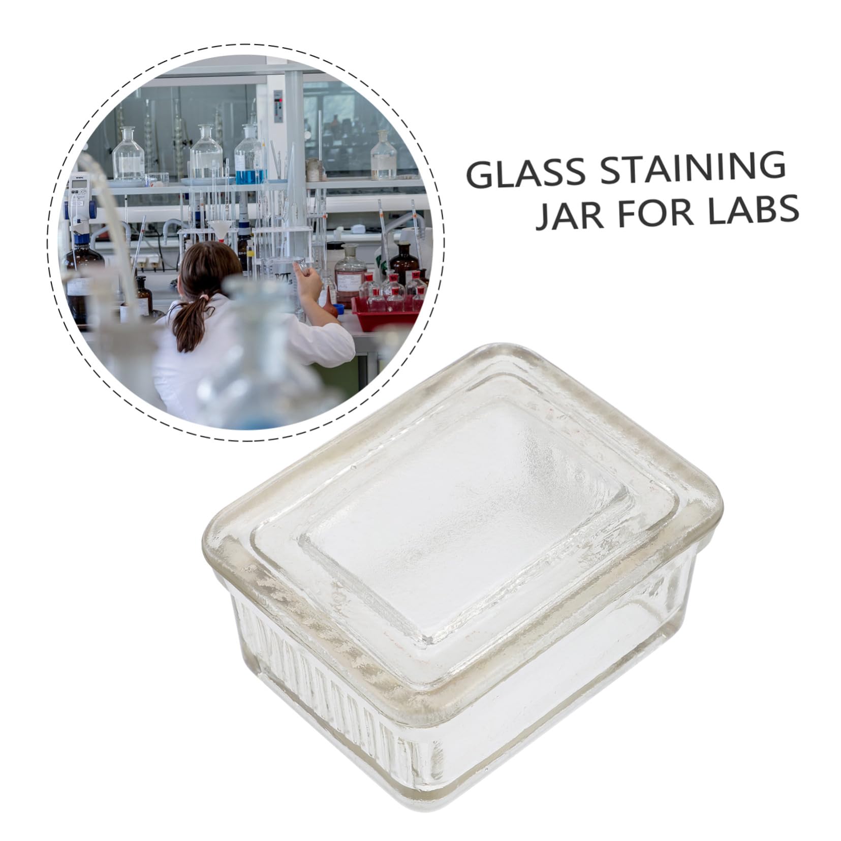 Glasfärbegefäß und Waschbarem Glas für 9 Objektträger mit Chemischer Stabilität für Färben von Zell und Pflanzenproben im Labor