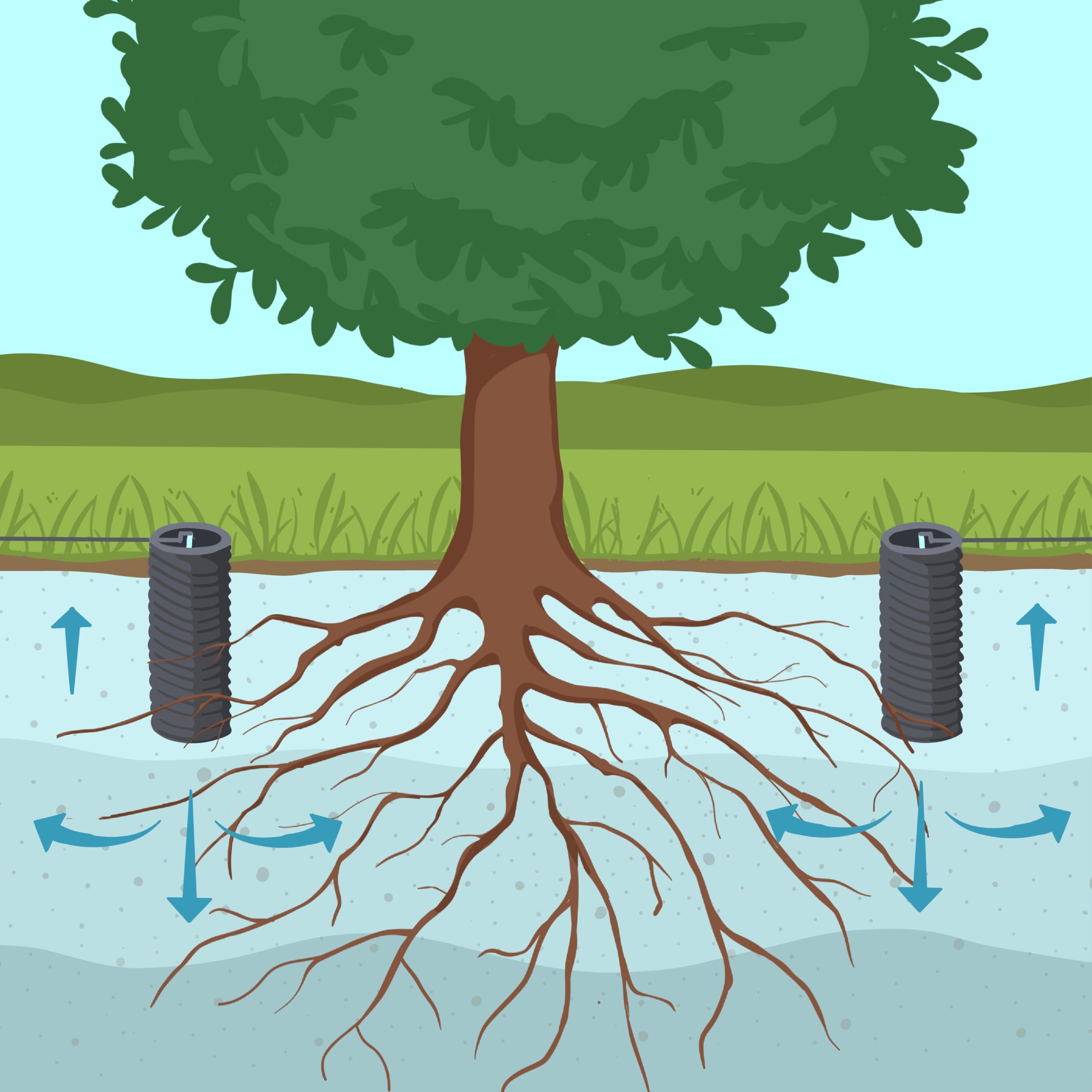 VermisTerra HydroSpiral Tubes - Anti Clog Mesh for Tree Watering - 3" Diameter, 10" Length for Deep Root Irrigation, Watering Stake, Aeration and Feeding, SubSoil, Saves water, Improves Plant Health