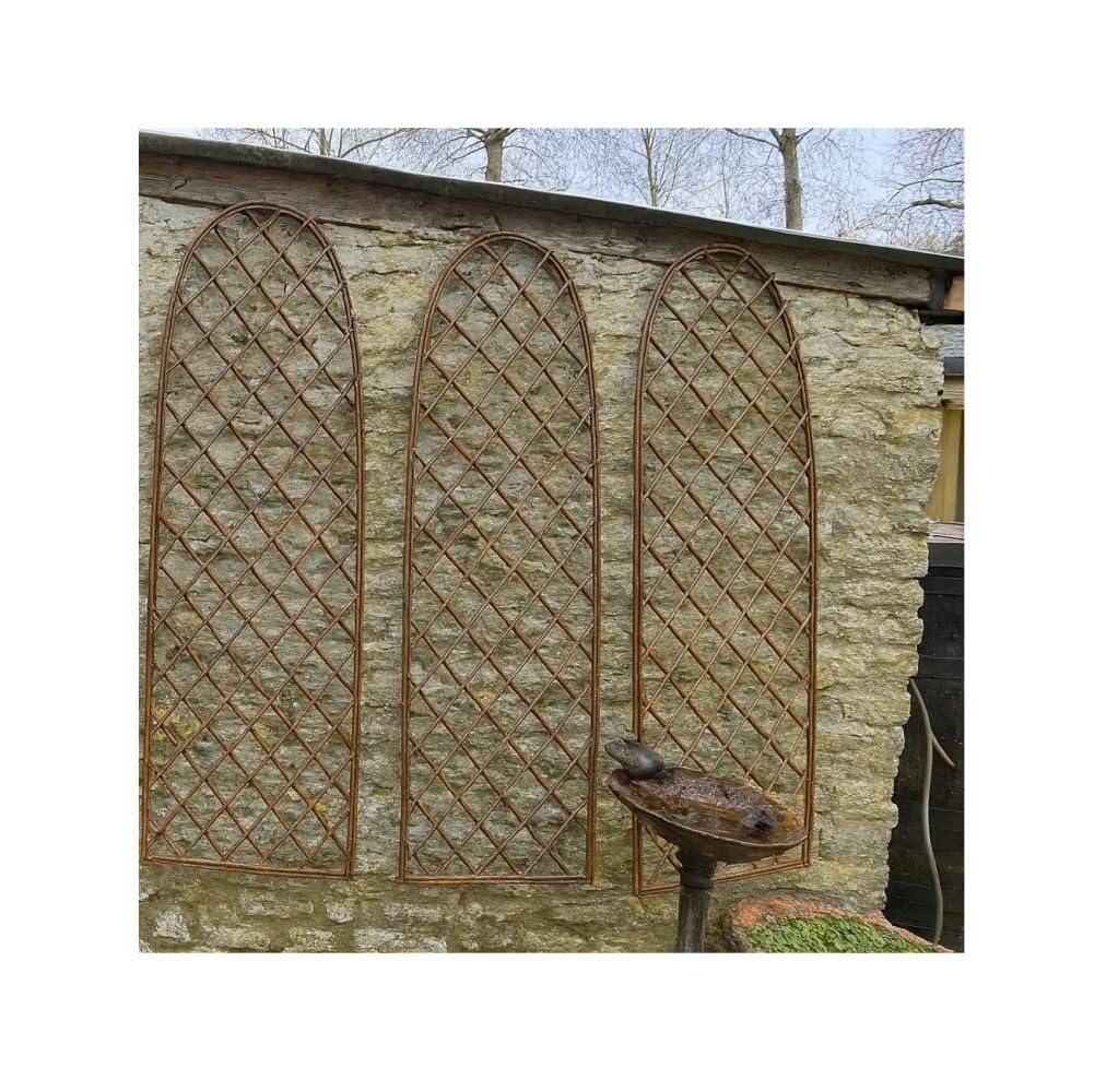 Handmade Willow Trellis for Climbing Plants – Ideal for Gardens & Planters, Natural Look, Supports Healthy Plant Growth (Pack of 3 Panels)