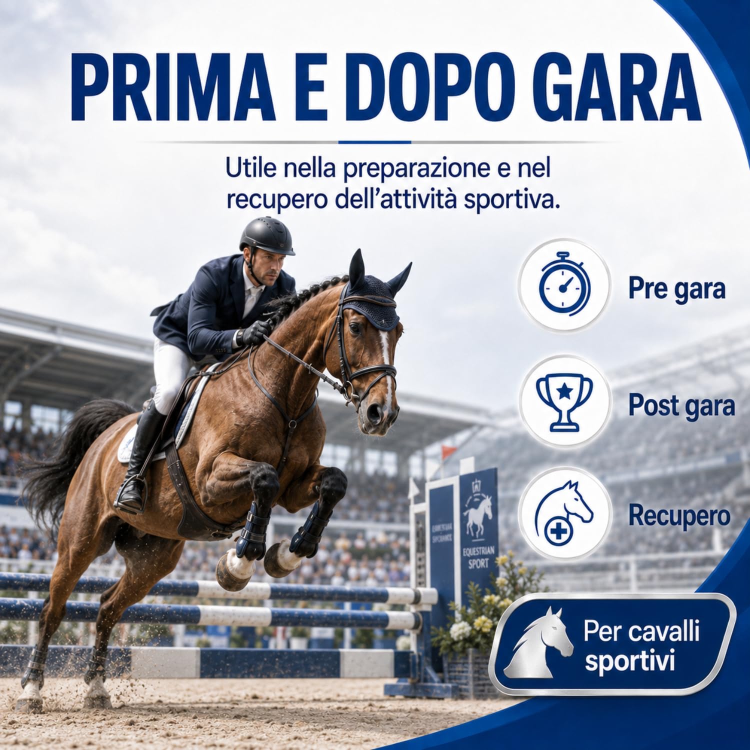 R&C Elettroliti Polvere 1,5Kg - Mangime Complementare per Cavalli Sportivi | Vitamina E, C e Sali Minerali - Ideale Pre Gara e Sforzi Intensi - 2 Prodotti in 1 per Idratazione - OLOR HEALTH