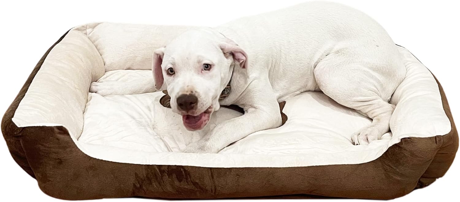 SciencePurchase Medium 27" × 21" Luxury Pet Bed for Dogs or Cats - Super Soft, Machine Washable with Waterproof Non-Slip Underside, Low Wall for Easy Entering & Exiting, Folds for Travel & Storage