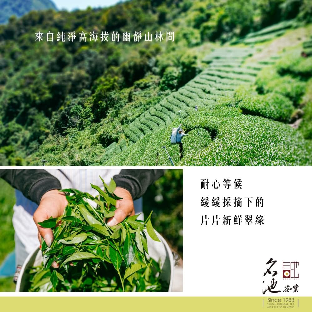 Taiwan unique tea,凍頂烏龍茶 Tongding Oolong Tea,150g*4