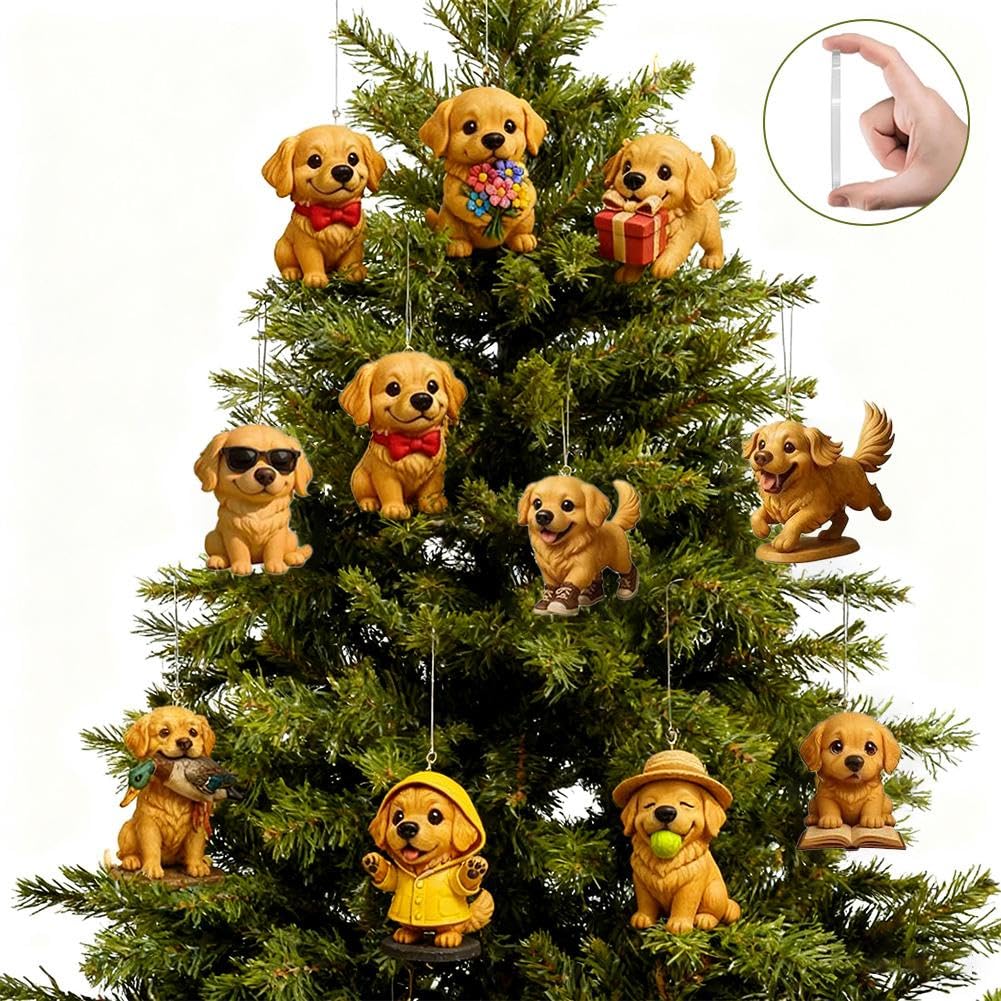 Divertente calendario dell'avvento 2025 con Golden Retriever, set regalo a tema cuccioli, conto alla rovescia per Natale da 24 giorni, con decorazioni 2D in acrilico per gli amanti degli animali