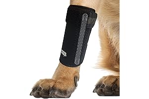 Dog Canine Front Leg Brace Wrap