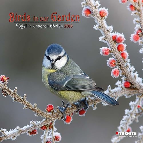 Birds in our Garden 2019 What a Wonderful World: Die Vögel in unseren Gärten