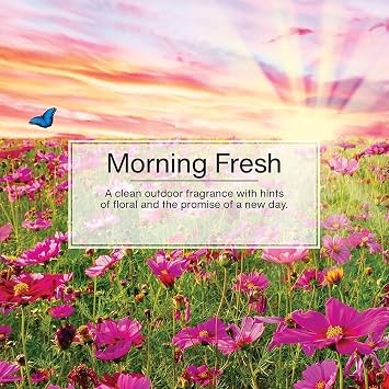LITTLE TREES Car Air Freshener | Hanging Paper Tree for Home or Car | Morning Fresh | 3 Pack