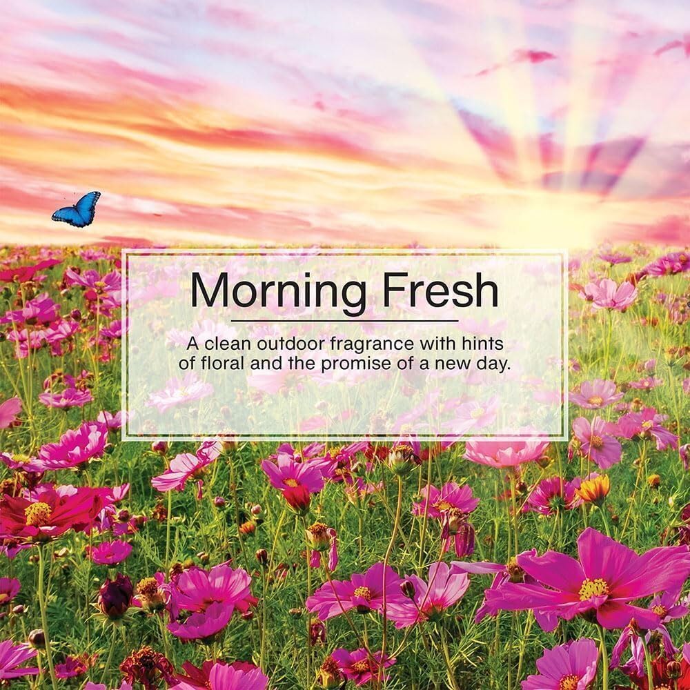 LITTLE TREES Car Air Freshener | Hanging Paper Tree for Home or Car | Morning Fresh | 3 Pack