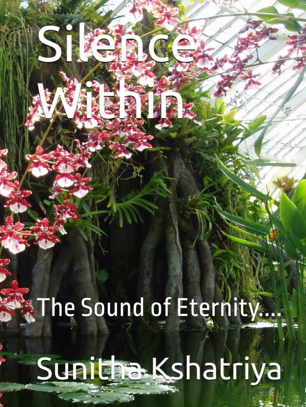 Silence Within: The Sound of Eternity.... (Searching for Eternity)
