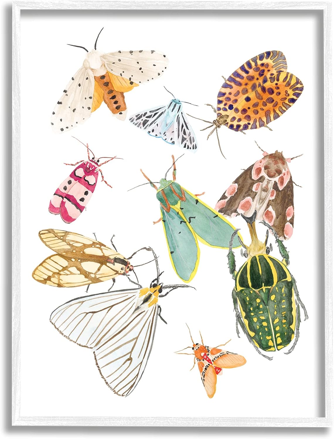 Stupell Industries Winged Insect Group Tropical Color Bugs
