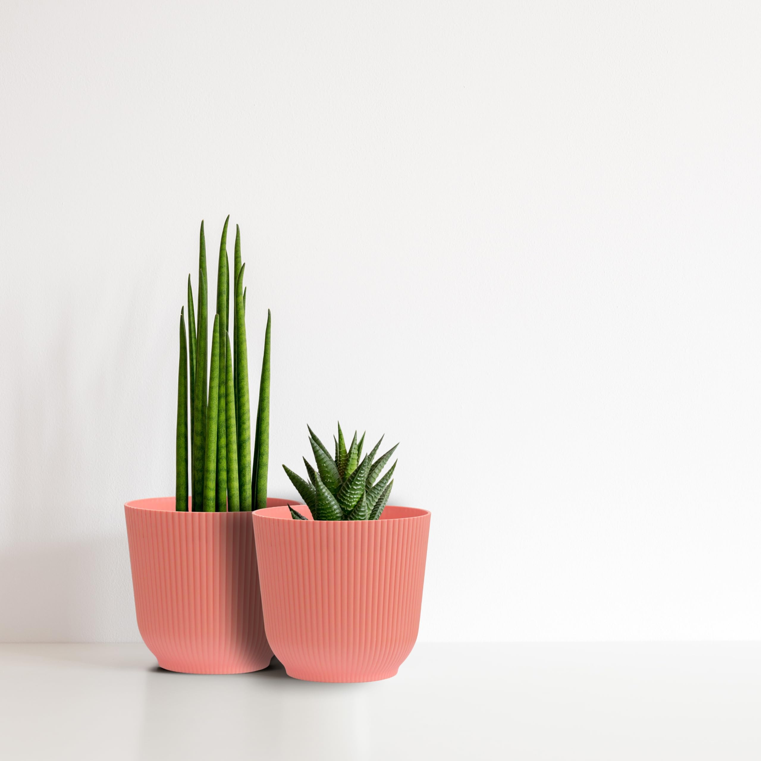 Olly & Rose Oxford Plant Pot Planter Plastic, Pack of 2, Indoor and Outdoor Flower Pots for Garden and Home - Image 3