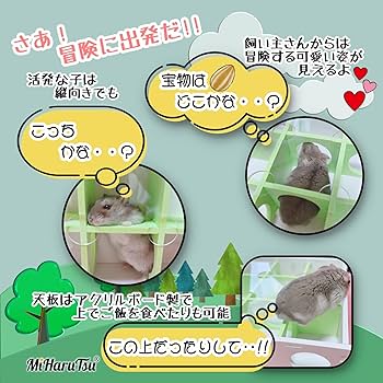 愛の迷宮-トンネル- BOX1,2セット Amazon | MiHaruTsu ハムスター 迷路 トンネル 小屋 遊び場