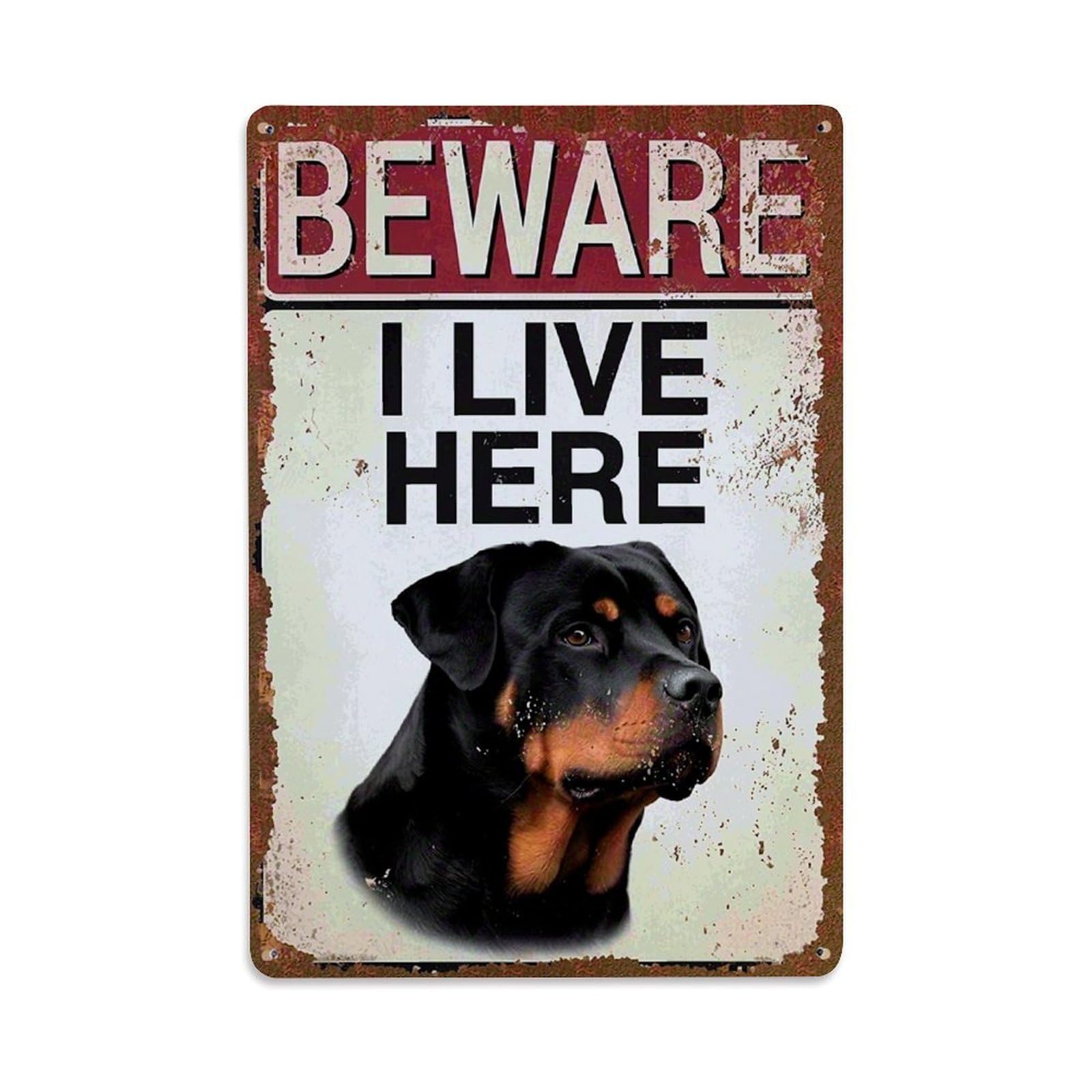 Beware I Live Here Rottweiler Retro Metal Tin Sign, Vintage Decor Art Poster for Bar, Home, Man Cave, Kitchen, Laundry Room Gift 8x12Inch