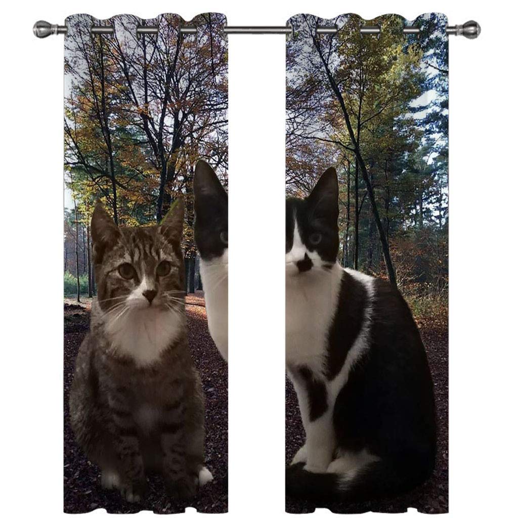 Rideau occultant isolant thermique pour salon motif deux chats dans la forêt de palmiers