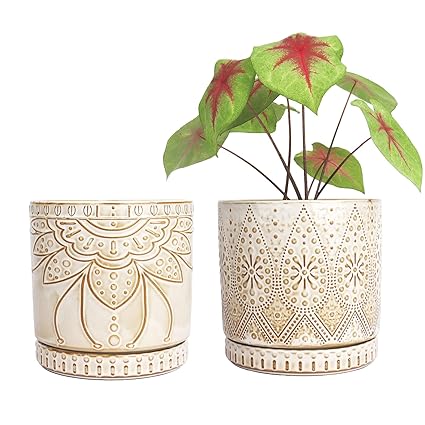 YFFSRJDJ 6 Inch Indoor Plant Pots with Drainage Holes and Saucers, Ceramic Planter for Plants, Flower Pot - Set of 2