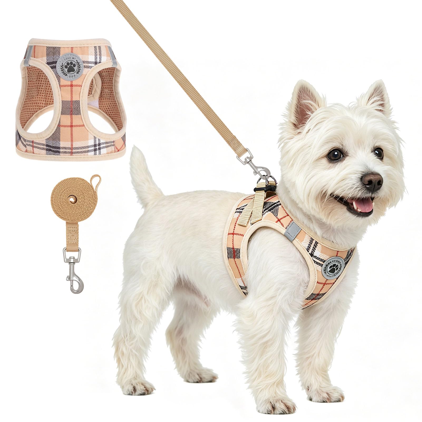 BEAUTYZOO Small Dog Harness and Leash Set, Step in Soft Light Puppy Vest with Breathable Mesh Padded, Adjustable Reflective Escape Proof for Safe Easy Walking