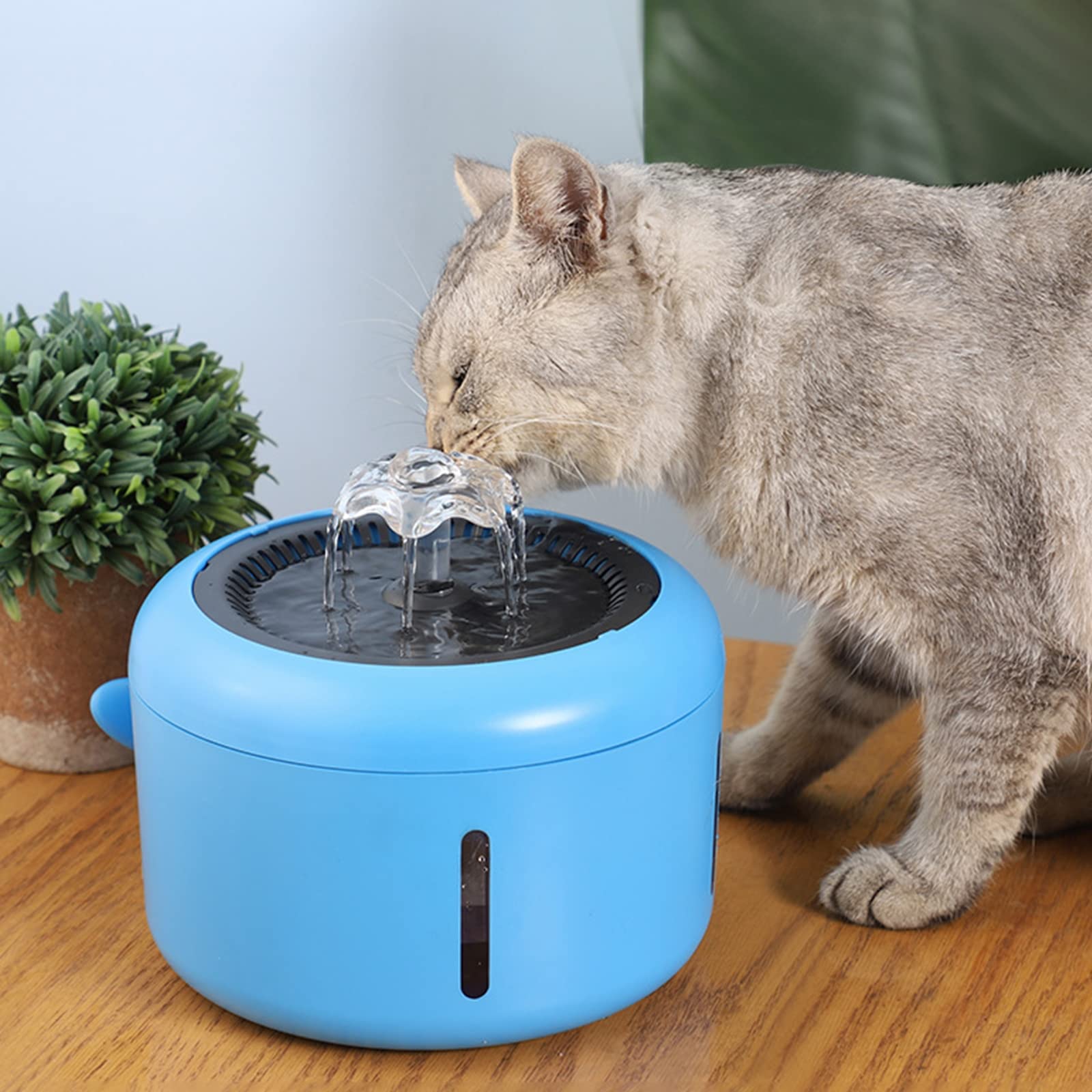 Fontana d'Acqua per Animali Domestici, 2L, Fontanella per Gatti Cani con Pompa Ultra-Silenziosa E 4 Filtri di Ricambio,Ciotole Cani, Distributore D Acqua per Gatti Dispenser Acqua Gatti,Blu