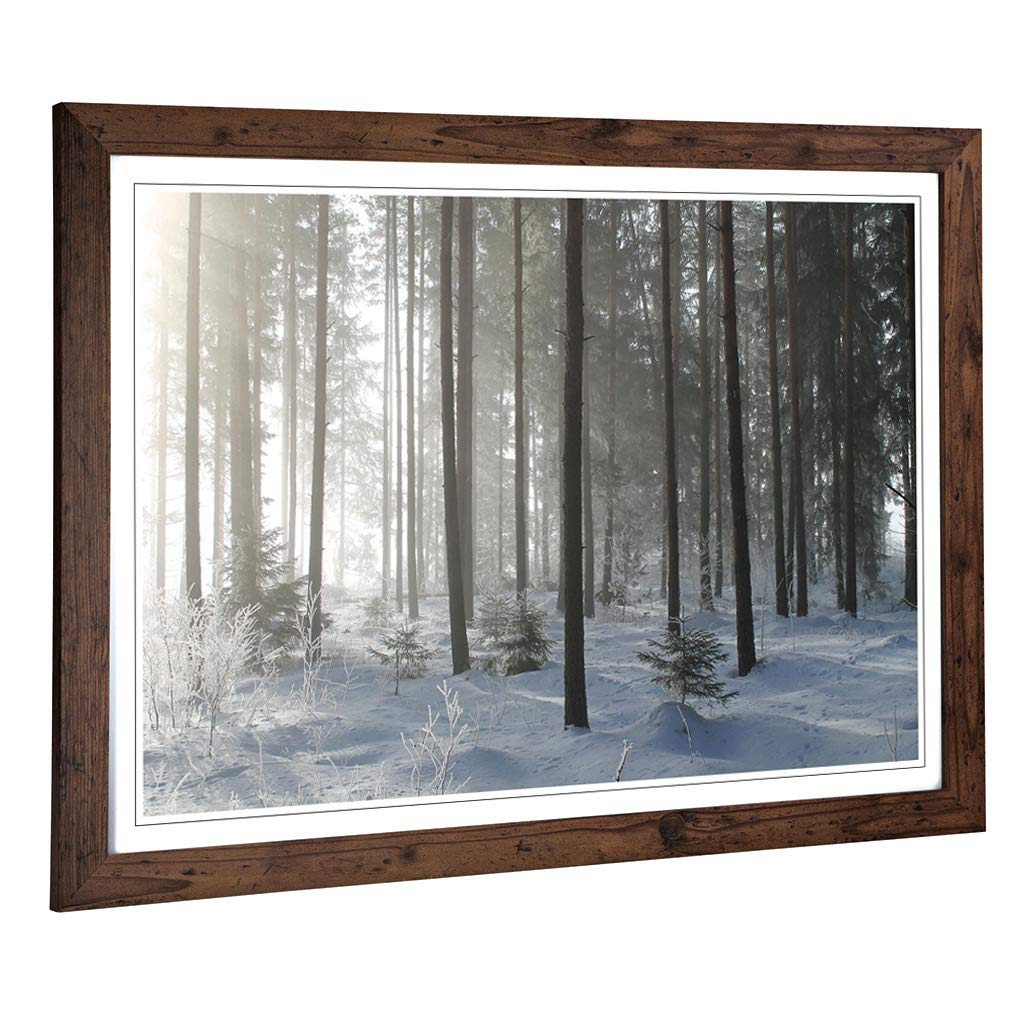 Big Box Art Framed Print of Landscape Sunlight Through Forest Woodland (4) Design | Wall Art Picture| Home Decor for Kitchen, Living Room, Bedroom, Hallway, Walnut, A2 / 24.5x18 Inch / 62x45cm