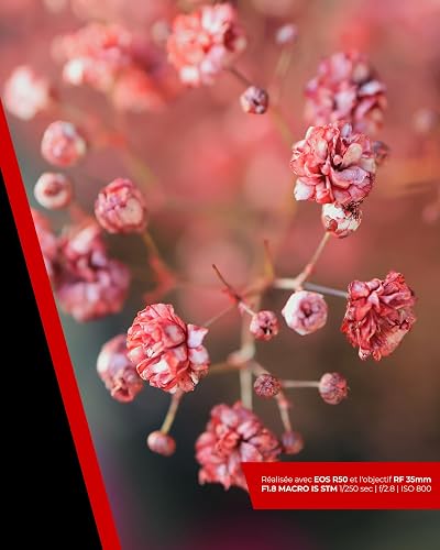 Canon EOS R50 Appareil Photo Hybride + Objectif RF-S 18-45mm + RF 75-300mm Kit Double Zoom - Appareil Photo numérique avec autofocus + détection de scène et des Visages, Animaux véhicules Vidéo 4k - 10