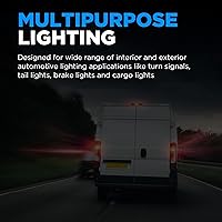 Vista 5 de Wagner Lighting BP1157 - Tarjeta de bombilla multiusos estándar (2 unidades)