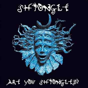 手書きレアLP盤！Are You Shpongled? 手書きレアLP盤！Are You Shpongled? - メルカリ