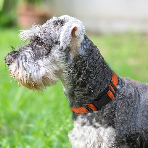 Vista 83 de Joytale - Collar reflectante para perro, collar de nailon transpirable con acolchado de neopreno suave para mascotas, ajustable para perros verde