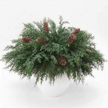 CYSKXYI 14 PCS Fake Pine Stems with 6 PCS Big Pine Cones,Faux Cedar Stems Artificial Norfolk Pine Branches for Christmas Decorouch Realistic Faux Greenery for Vases DIY Garland Xmas Table Indoor