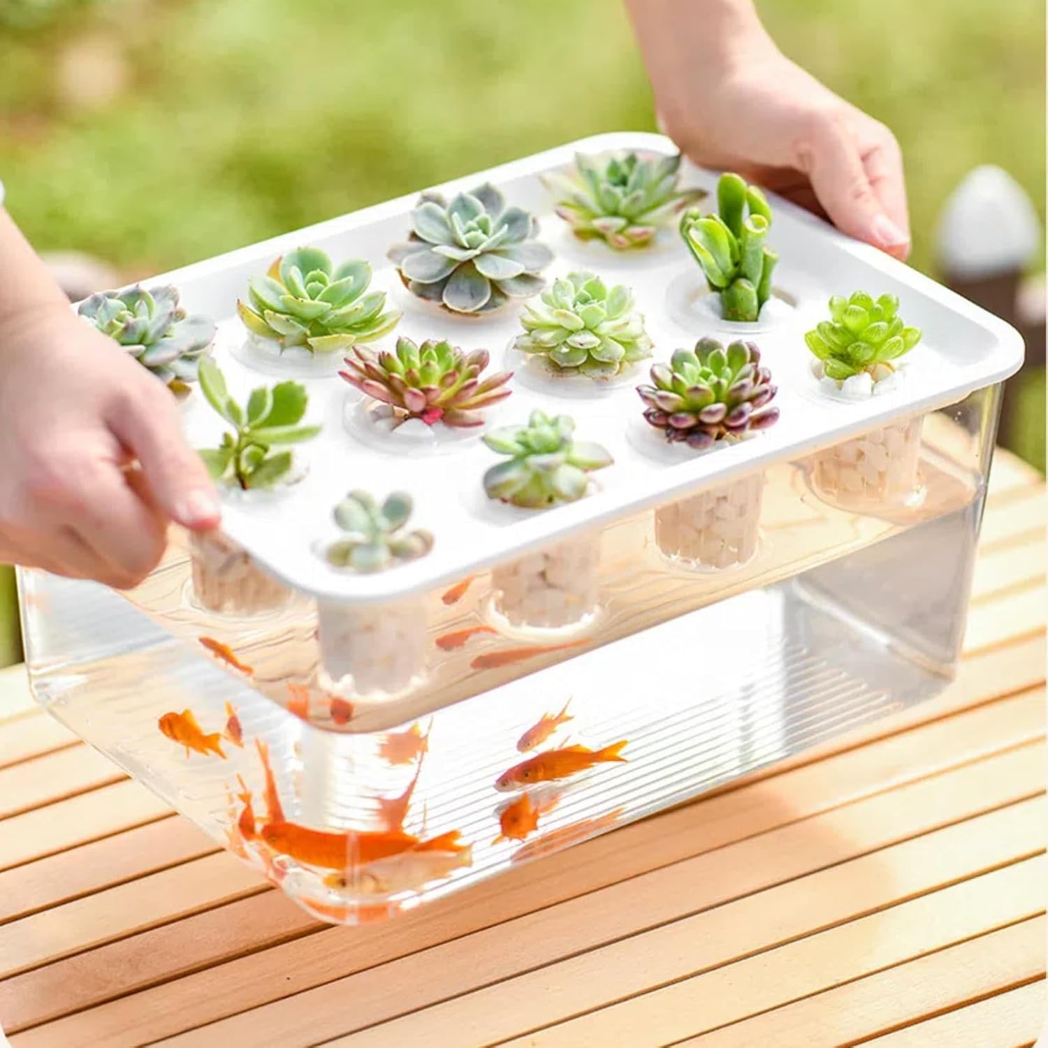 Fish Tank,hydroponics Growing Box, 3.5 Gallon Plastic Soilless Grow Box, Water Cultivation Seedling Horticulture Plant Box with Lid Landscaping Fish Bowl (13L)