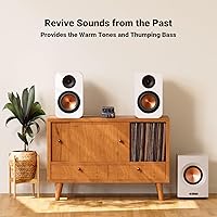 Vista 6 de Fosi Audio M04 Subwoofer Amplifier for Home Theater Mono Channel Digital Class D Integrated Power Amp for Passive Speakers Subwoofer