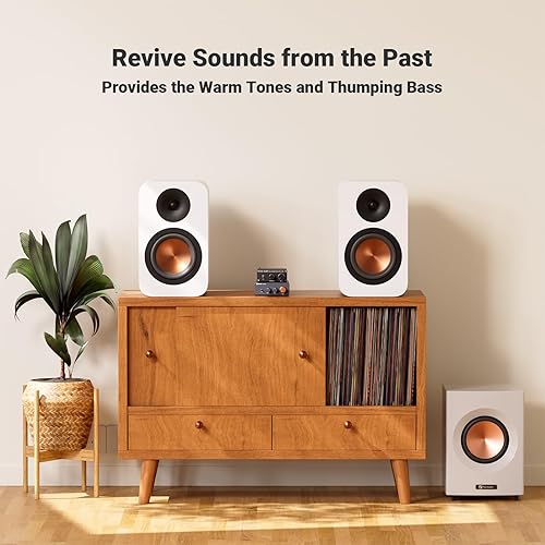 Miniatura 6 de Fosi Audio Amplificador de subwoofer M04 para cine en casa Monocanal Digital Clase D Amplificador de potencia integrado para altavoces pasivos