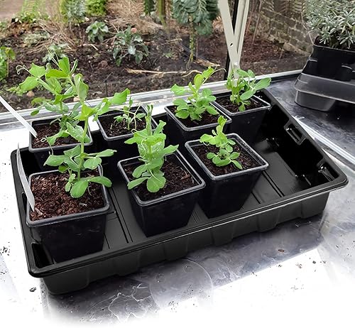 Miniatura 4 de Chivalral 6 paquetes de bandejas de cultivo de plantas con cúpulas de humedad, bandeja de plástico para semillas, germinación y propagación de