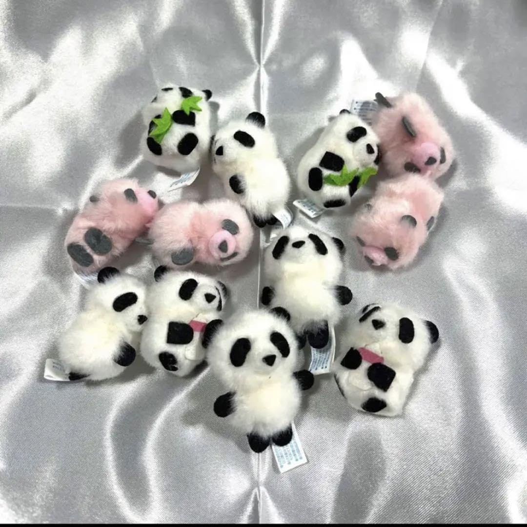 Amazon.co.jp: ぴよりーな メジャー ふわふわマスコット パンダ 12個