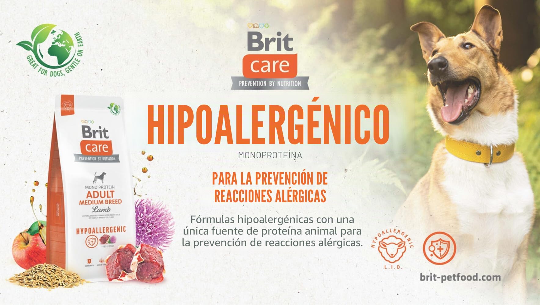 BRIT Care Hipoalergénico Adulto Perro Show Champion Salmón & Arring - Alimentos Secos para Perros - 12 kg