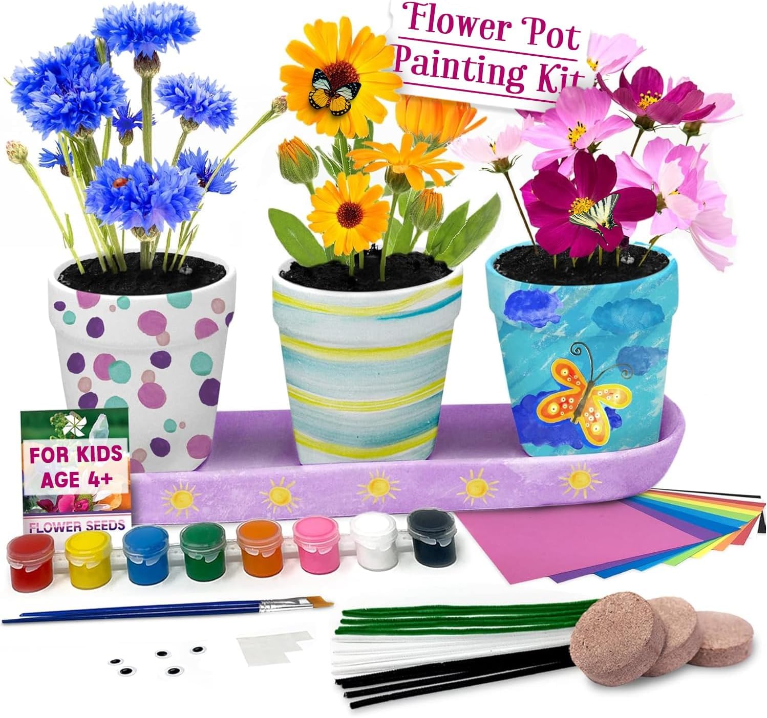 Pinwheel Crafts Flower Pot Painting Kit