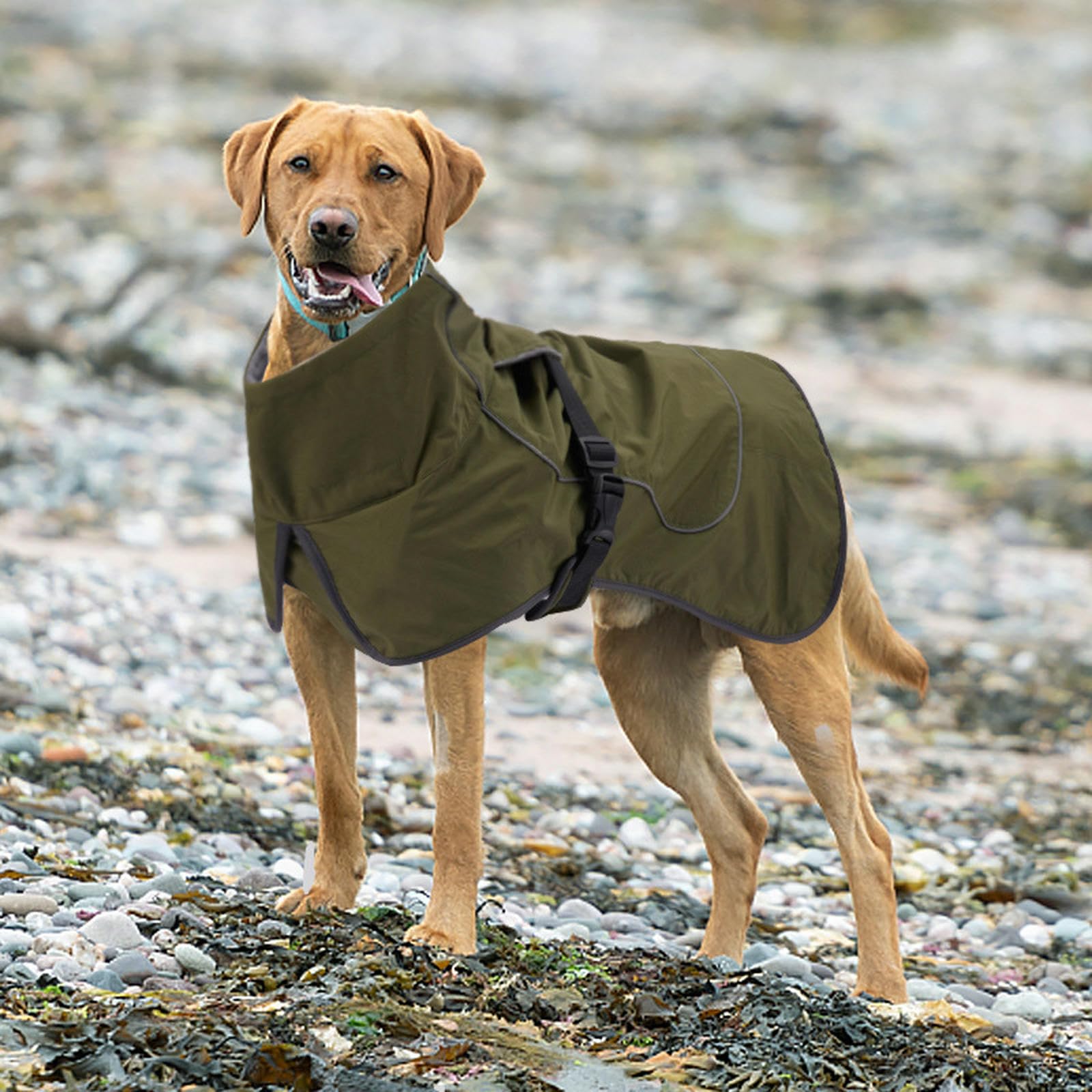 Chaquetas para Perros Grandes Impermeable Abrigo de Invierno para Perros cálido a Prueba de Viento Chaqueta de Nieve para Perros Ropa Abrigos para Perros medianos y niños