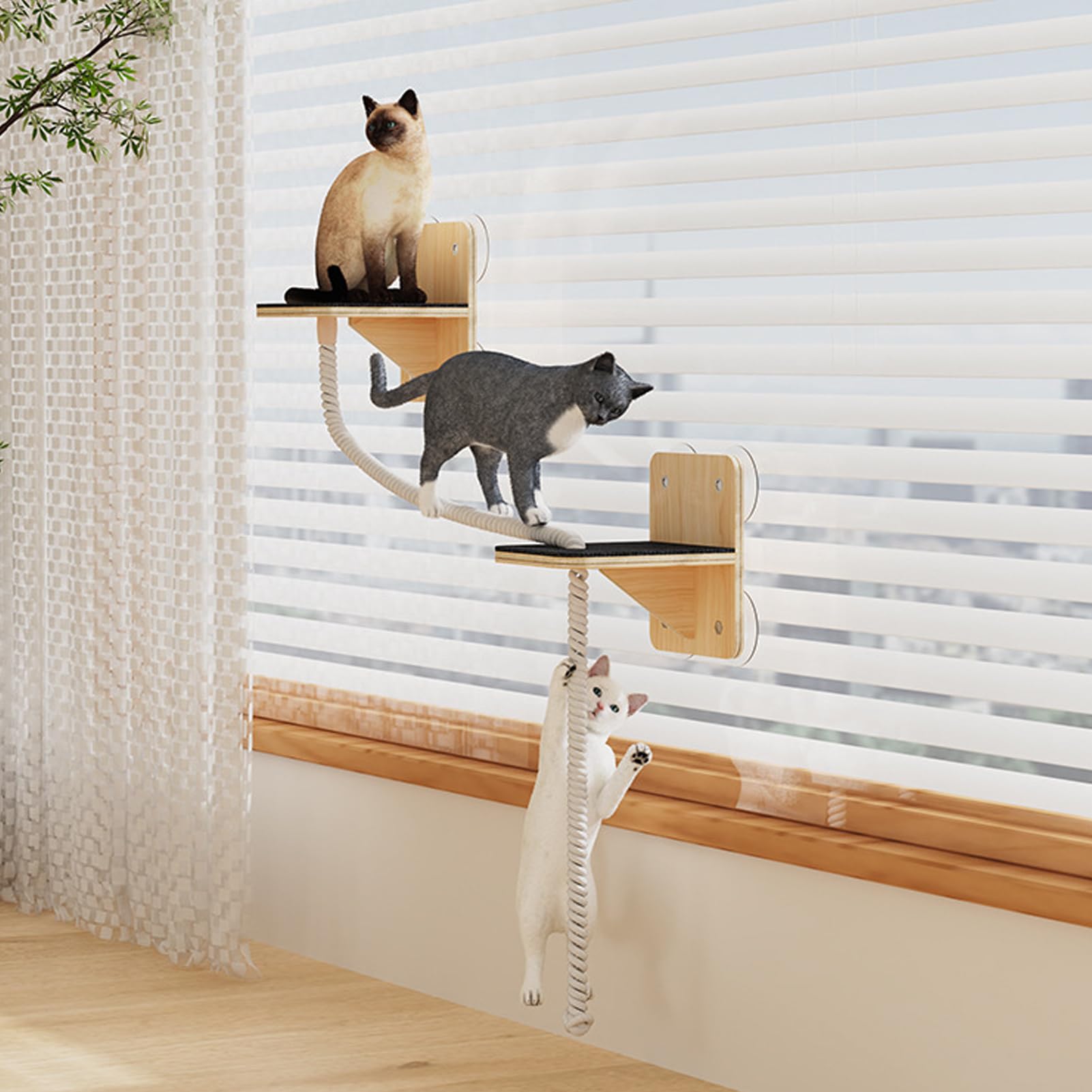 Mensole Da Parete Per Gatti Posatoio Per Finestra, Tiragraffi, Giochi, | Albero Per Gatti A Parete Da Interno utilizzabile a Finestre Porte e Aree Esterne