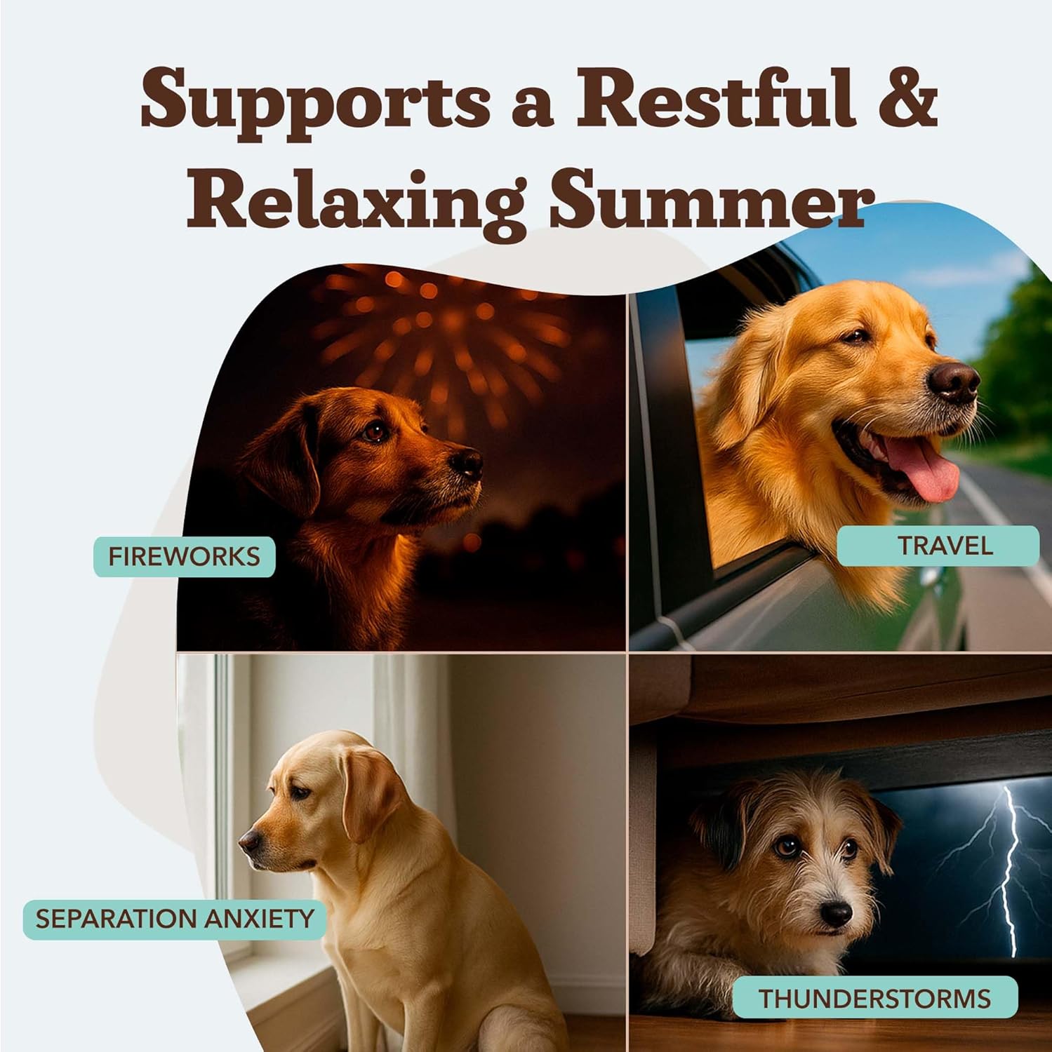 Natural Dog Company Salmon Oil & Calming Chews Bundle for Dogs – Omega 3 Skin & Coat Support + Stress Relief – 8 oz Bottle + 90 Ct Chews