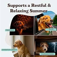 Vista 71 de Natural Dog Company Liver & Kidney Supplement for Dogs – 90 Soft Chews with Milk Thistle, Cranberry, Dandelion Root, Turmeric & Astragalus