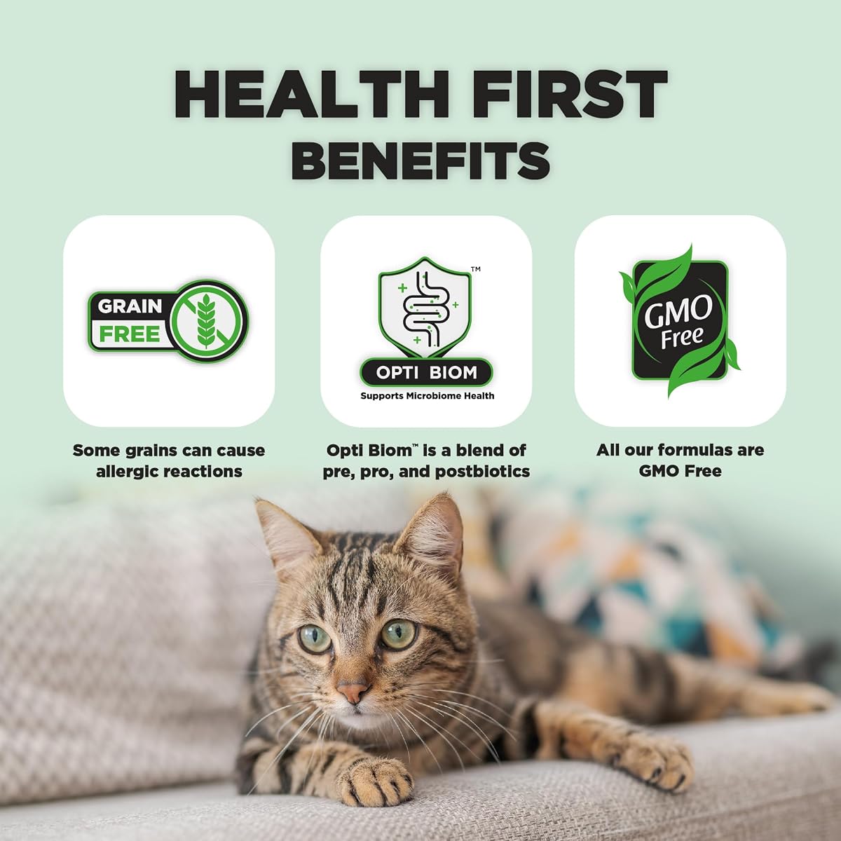 T’ai PiAdvanced Protein Vegan Cat Food, High Protein, Grain-Free, Hypoallergenic view 3